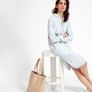 Everlane Linen Dress Blue & White Striped Collared Shirt Dress Size 00